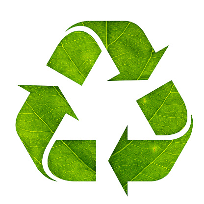 Recycle symbol icon made of green leaf isolated on white background